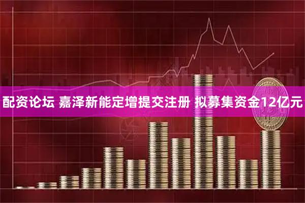 配资论坛 嘉泽新能定增提交注册 拟募集资金12亿元
